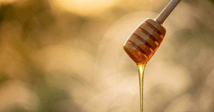 Australia’s Manuka bioactive MGO medicinal honey
